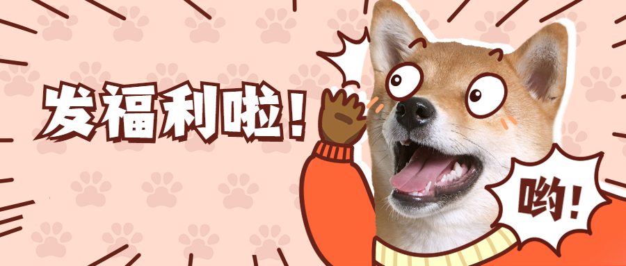 Breaking News！加拿大移民局狂送枫